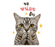 858455563