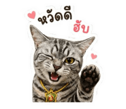 858455564