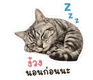 858455570