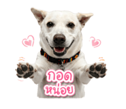 858455826