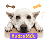 858455828