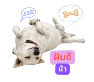 858455833