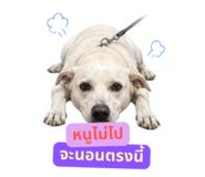 858455839