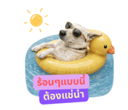 858455841