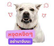 858455850