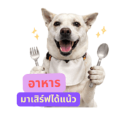 858455852