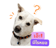 858455864
