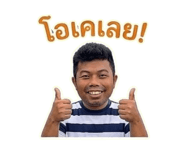 858455954