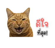 858456004