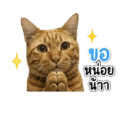 858456010