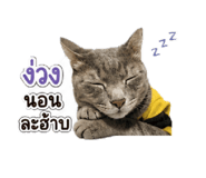 858456019