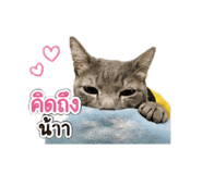 858456020