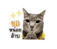 858456021