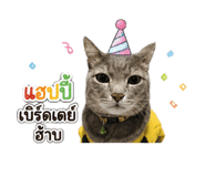 858456022