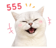 858456155