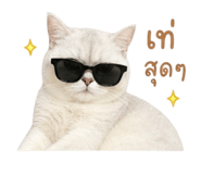 858456166
