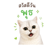 858456172