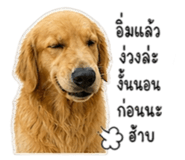 858456779