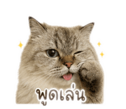 858456940