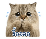 858456941