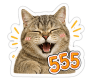 858457296