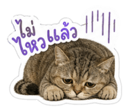 858457297