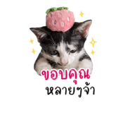 858457315