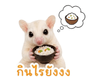 858457560