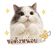 858458970