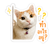 858459040