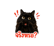 858460226