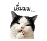 858460833