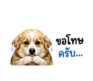 858460908