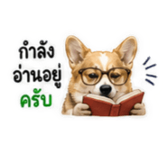 858460910