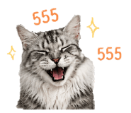 858460970