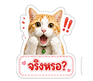 858461621