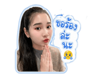 858461646