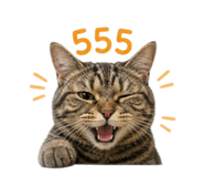 858461664