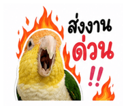 858462230