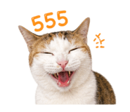 858462790