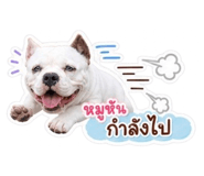 858463391