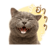 858463954