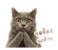 858463975