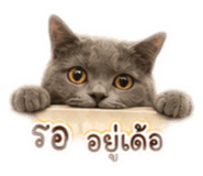 858463976