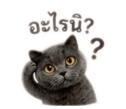 858463984