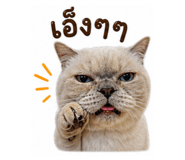 858464485