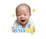858464988