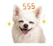 858466146