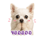 858466152