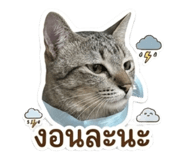 858466943